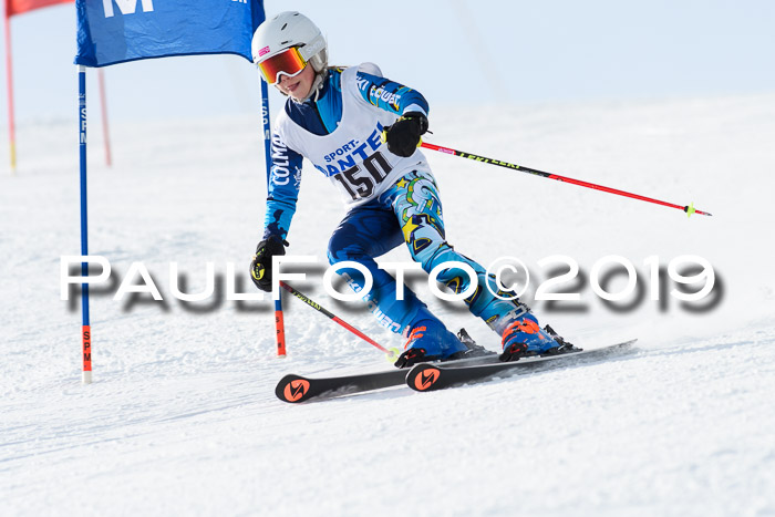 SVM U8, U10, U12, SechzgerPokal 2019