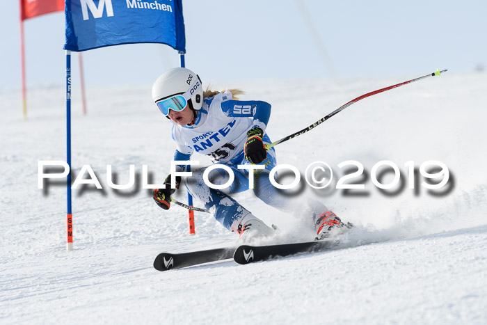 SVM U8, U10, U12, SechzgerPokal 2019