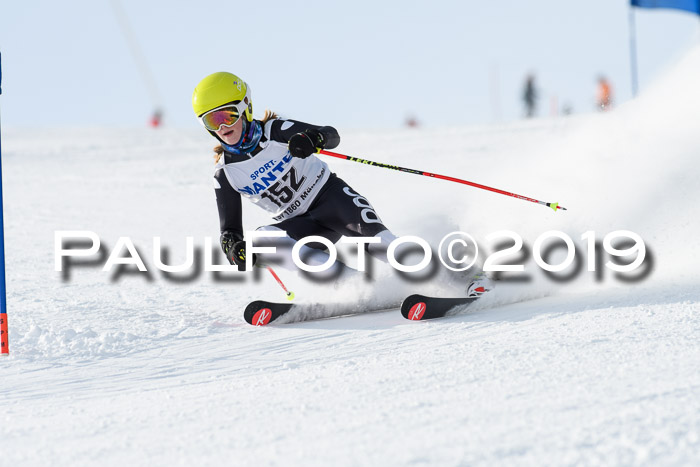 SVM U8, U10, U12, SechzgerPokal 2019
