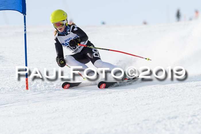 SVM U8, U10, U12, SechzgerPokal 2019