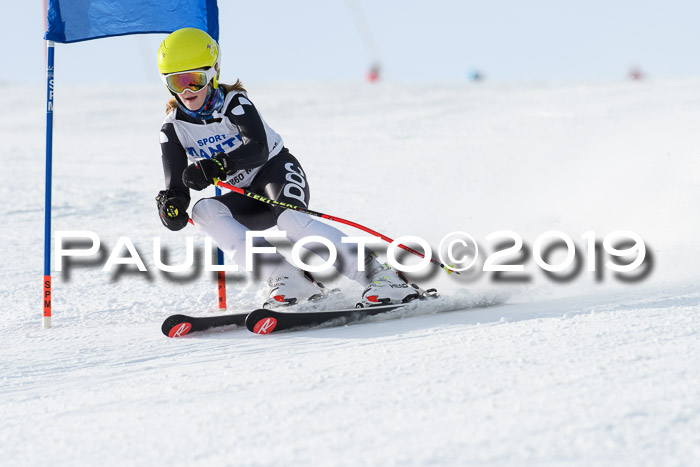 SVM U8, U10, U12, SechzgerPokal 2019