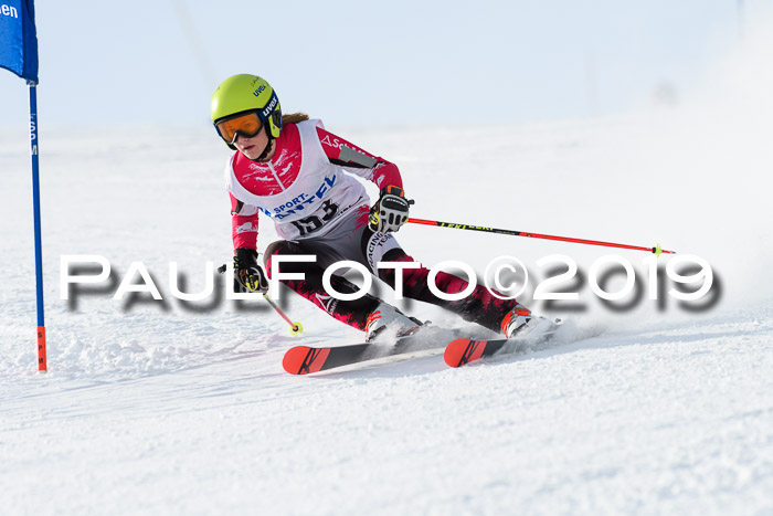 SVM U8, U10, U12, SechzgerPokal 2019