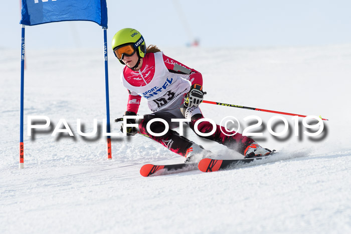 SVM U8, U10, U12, SechzgerPokal 2019