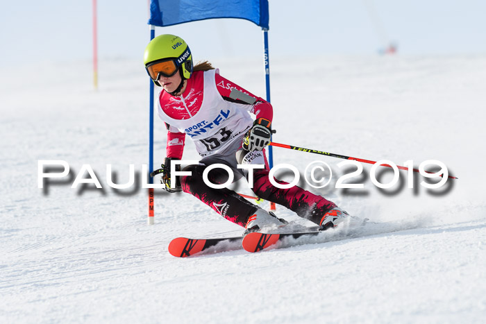 SVM U8, U10, U12, SechzgerPokal 2019