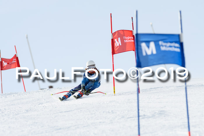 SVM U8, U10, U12, SechzgerPokal 2019
