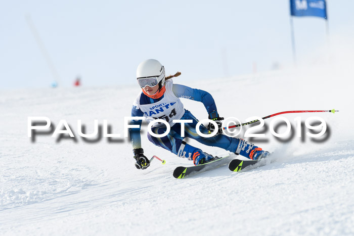 SVM U8, U10, U12, SechzgerPokal 2019