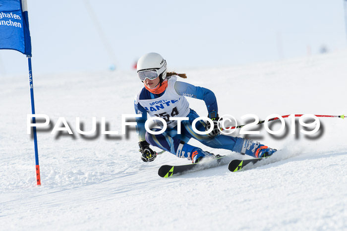 SVM U8, U10, U12, SechzgerPokal 2019
