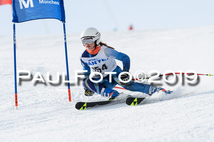 SVM U8, U10, U12, SechzgerPokal 2019