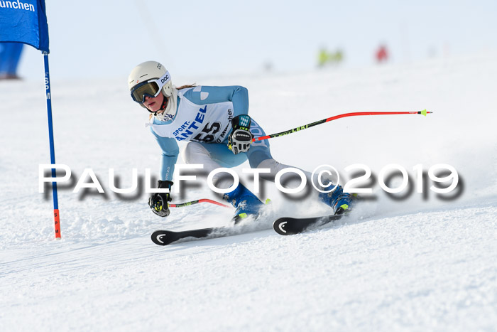 SVM U8, U10, U12, SechzgerPokal 2019