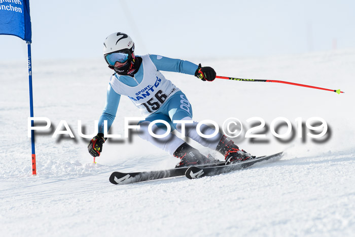 SVM U8, U10, U12, SechzgerPokal 2019