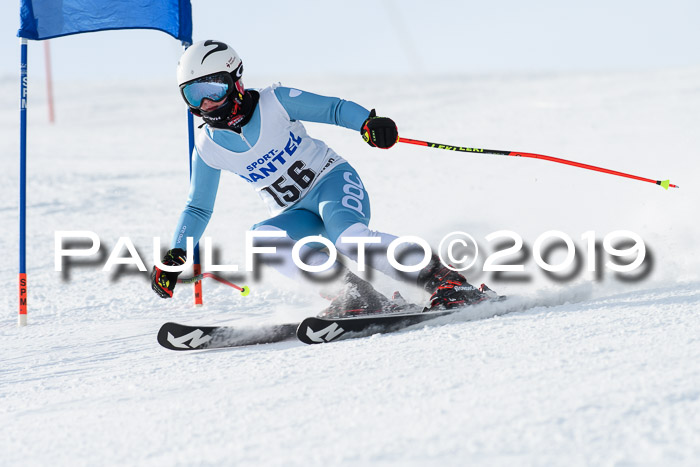 SVM U8, U10, U12, SechzgerPokal 2019