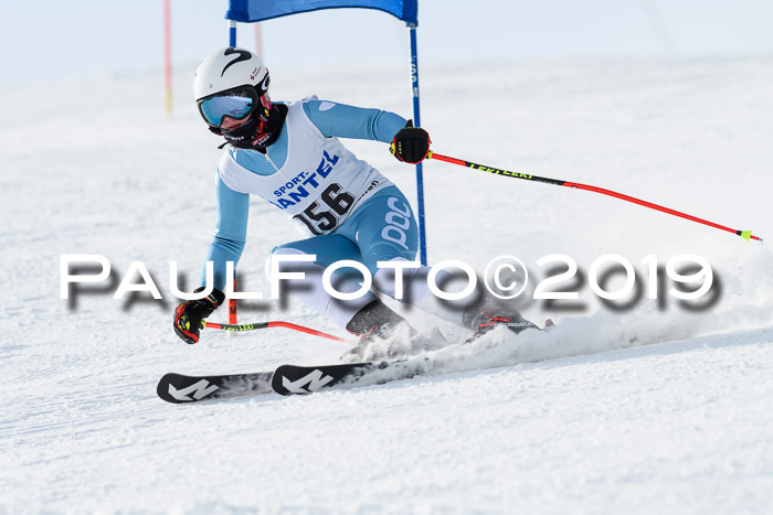 SVM U8, U10, U12, SechzgerPokal 2019