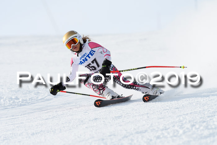 SVM U8, U10, U12, SechzgerPokal 2019