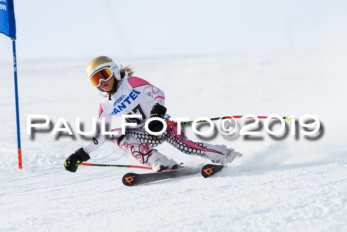 SVM U8, U10, U12, SechzgerPokal 2019