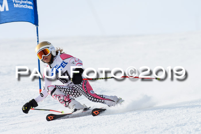 SVM U8, U10, U12, SechzgerPokal 2019