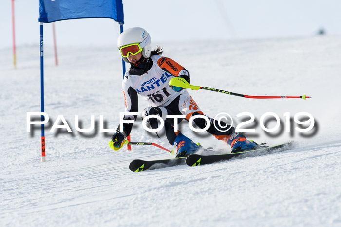 SVM U8, U10, U12, SechzgerPokal 2019