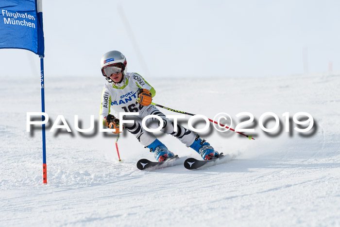 SVM U8, U10, U12, SechzgerPokal 2019