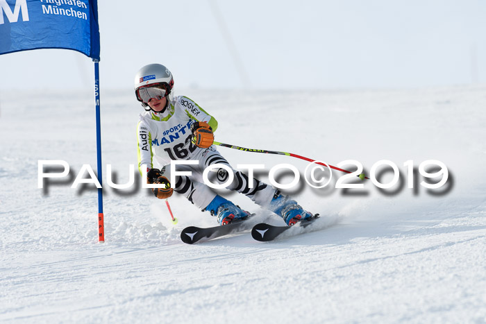 SVM U8, U10, U12, SechzgerPokal 2019