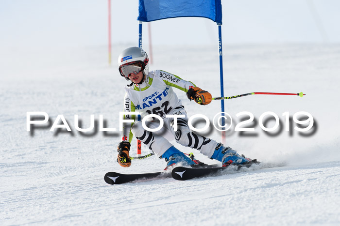 SVM U8, U10, U12, SechzgerPokal 2019