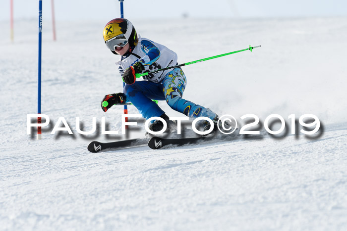 SVM U8, U10, U12, SechzgerPokal 2019