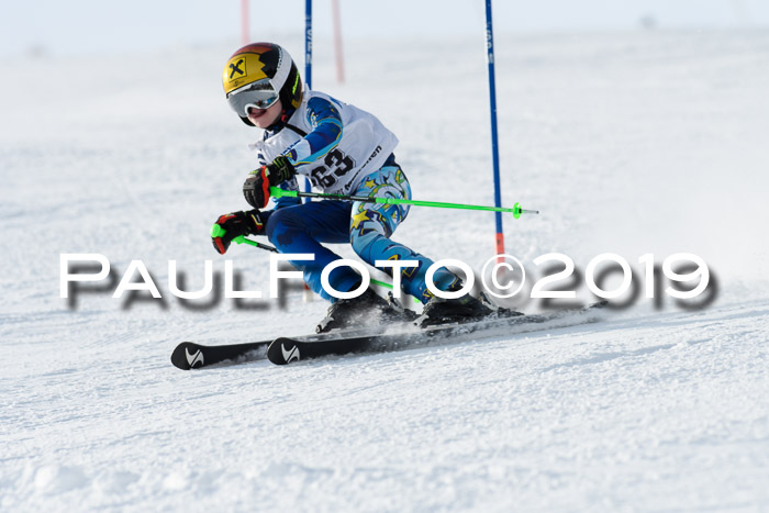 SVM U8, U10, U12, SechzgerPokal 2019