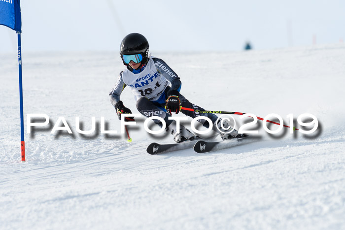 SVM U8, U10, U12, SechzgerPokal 2019