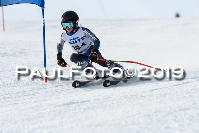 SVM U8, U10, U12, SechzgerPokal 2019