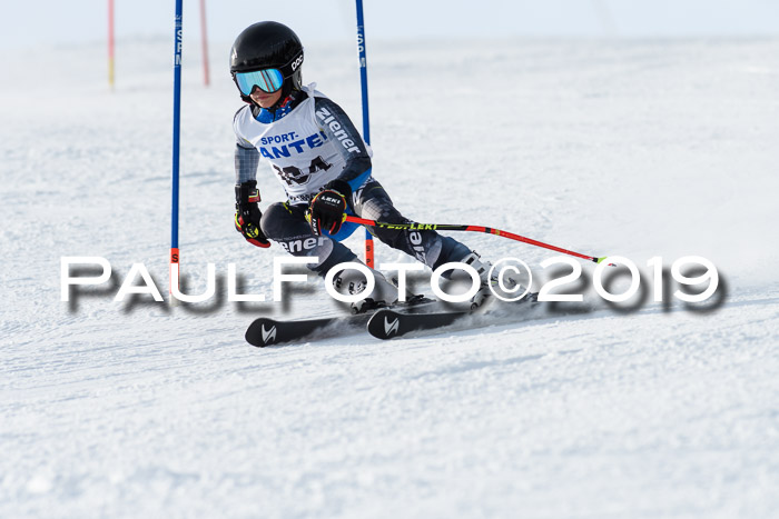SVM U8, U10, U12, SechzgerPokal 2019