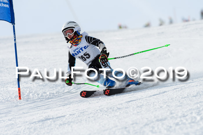 SVM U8, U10, U12, SechzgerPokal 2019