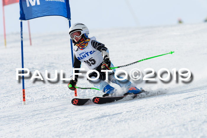 SVM U8, U10, U12, SechzgerPokal 2019