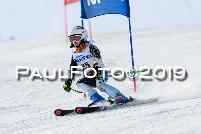 SVM U8, U10, U12, SechzgerPokal 2019