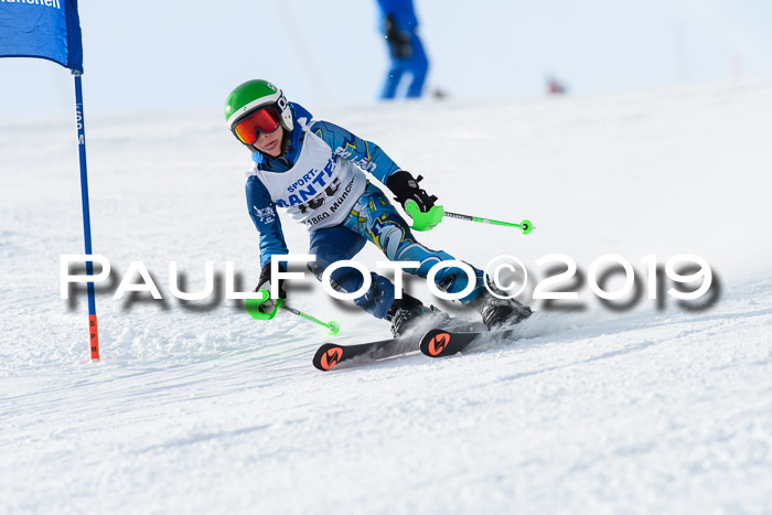 SVM U8, U10, U12, SechzgerPokal 2019