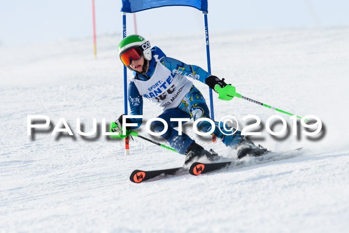 SVM U8, U10, U12, SechzgerPokal 2019