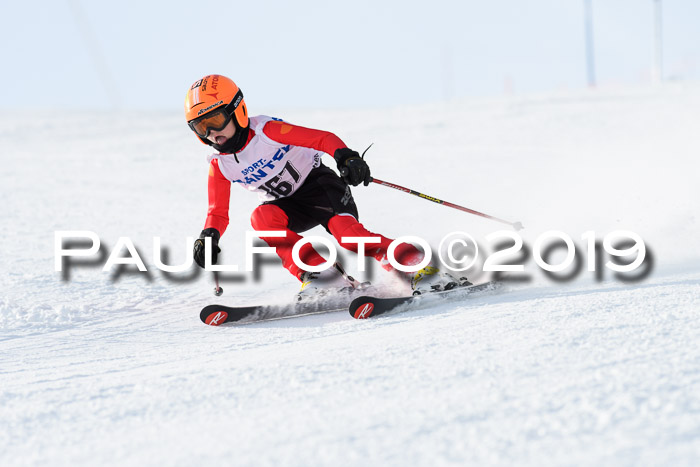 SVM U8, U10, U12, SechzgerPokal 2019