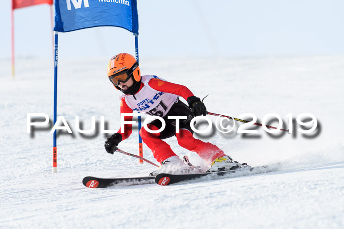 SVM U8, U10, U12, SechzgerPokal 2019