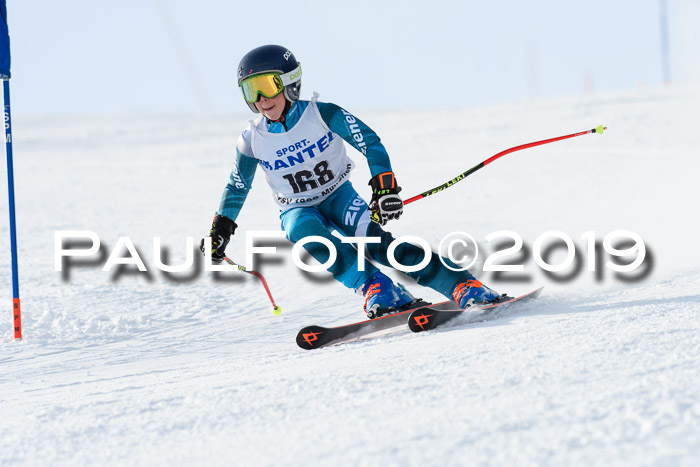 SVM U8, U10, U12, SechzgerPokal 2019
