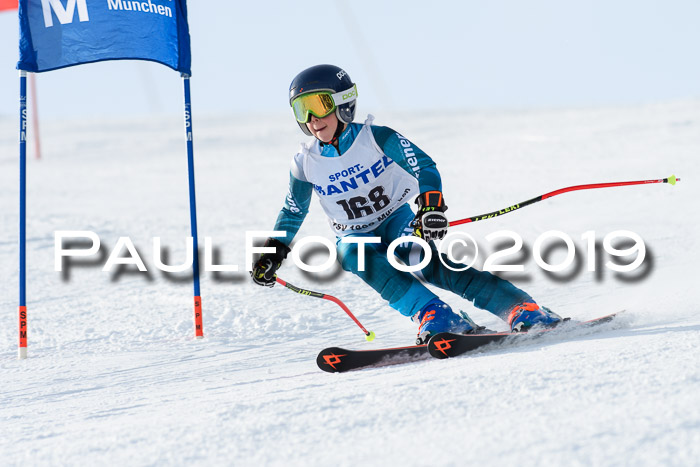 SVM U8, U10, U12, SechzgerPokal 2019