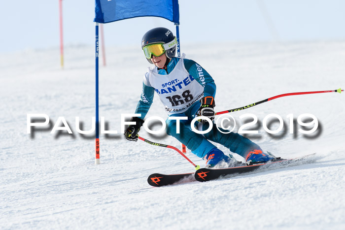 SVM U8, U10, U12, SechzgerPokal 2019