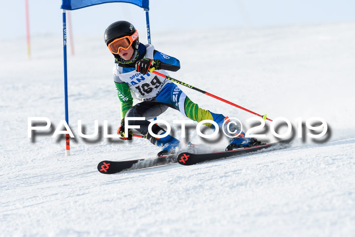 SVM U8, U10, U12, SechzgerPokal 2019