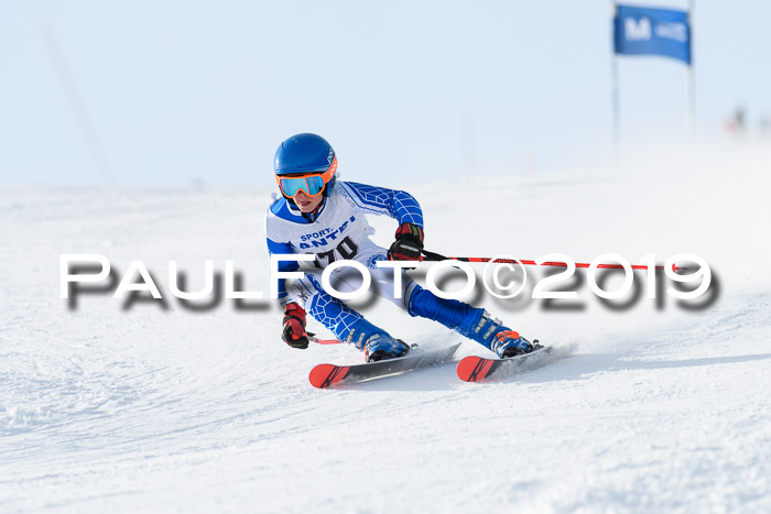 SVM U8, U10, U12, SechzgerPokal 2019