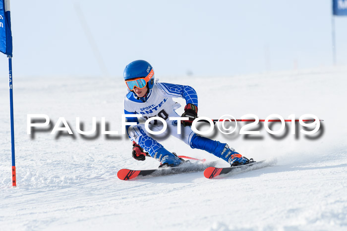 SVM U8, U10, U12, SechzgerPokal 2019