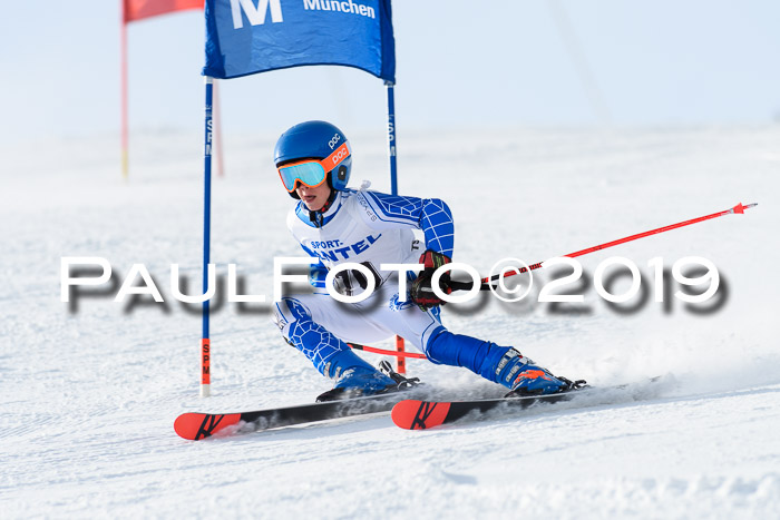 SVM U8, U10, U12, SechzgerPokal 2019