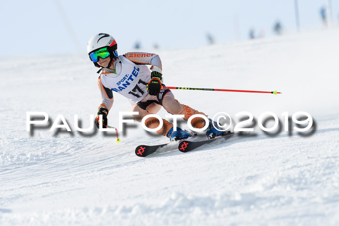 SVM U8, U10, U12, SechzgerPokal 2019