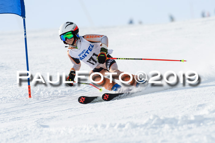 SVM U8, U10, U12, SechzgerPokal 2019