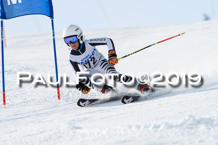 SVM U8, U10, U12, SechzgerPokal 2019
