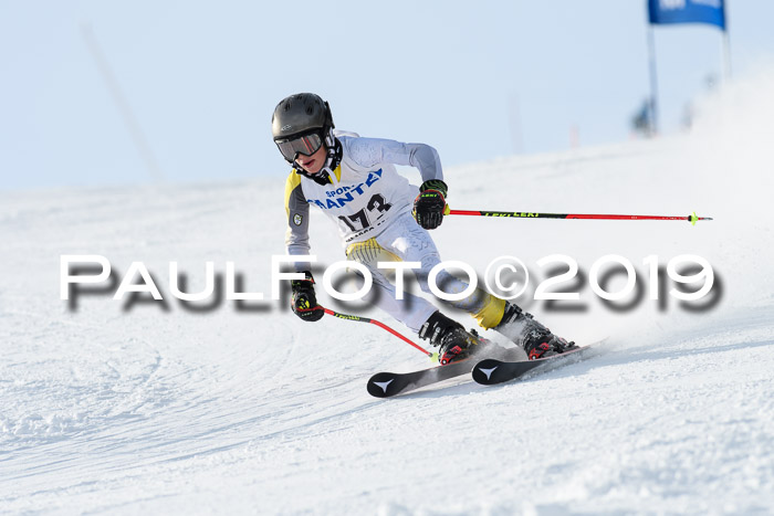 SVM U8, U10, U12, SechzgerPokal 2019