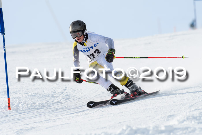 SVM U8, U10, U12, SechzgerPokal 2019