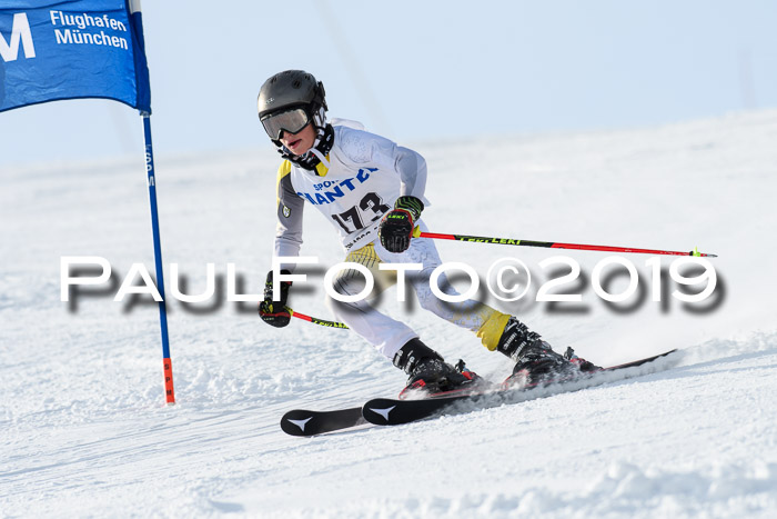 SVM U8, U10, U12, SechzgerPokal 2019