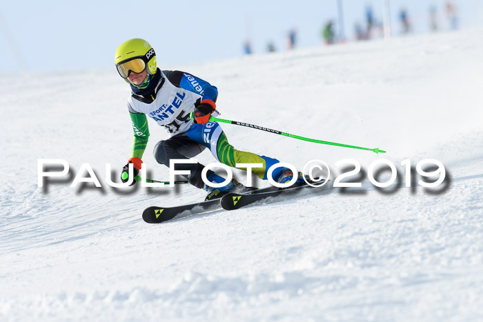 SVM U8, U10, U12, SechzgerPokal 2019