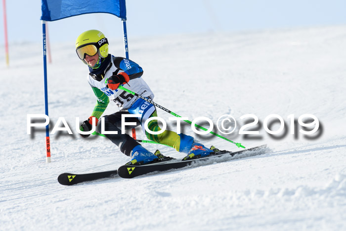 SVM U8, U10, U12, SechzgerPokal 2019